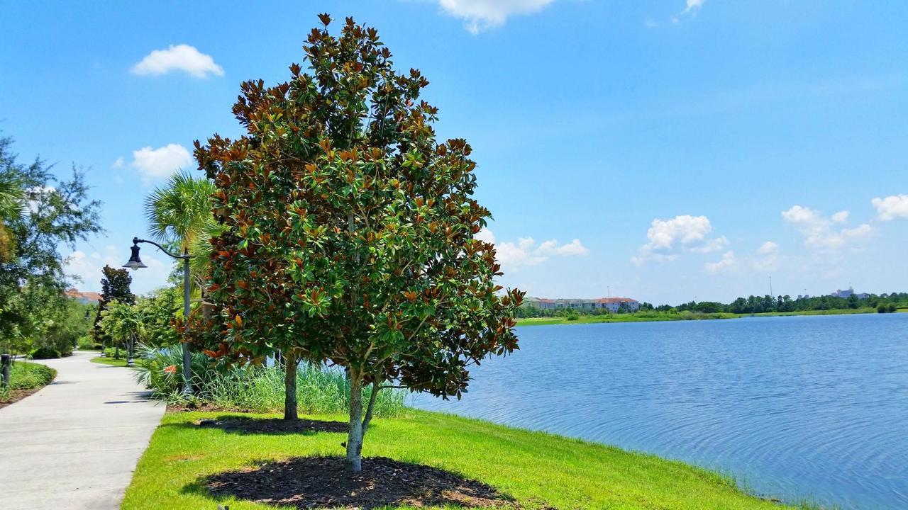 Cosy Retreat Βίλα Kissimmee Εξωτερικό φωτογραφία